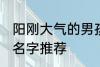 阳刚大气的男孩名字 阳刚大气的男孩名字推荐