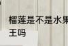 榴莲是不是水果之王啊 榴莲是水果之王吗
