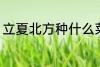 立夏北方种什么菜 立夏北方种哪些菜