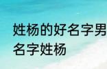姓杨的好名字男孩 独一无二的好听男名字姓杨