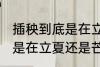 插秧到底是在立夏还是芒种 到底插秧是在立夏还是芒种