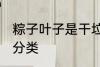 粽子叶子是干垃圾吗 粽子叶子的垃圾分类