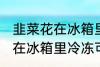 韭菜花在冰箱里冷冻能放多久 韭菜花在冰箱里冷冻可以放多长时间