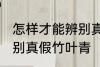 怎样才能辨别真假竹叶青 如何才能辨别真假竹叶青