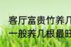 客厅富贵竹养几支最旺运 水养富贵竹一般养几根最旺财