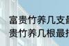 富贵竹养几支最旺运属蛇的 属蛇养富贵竹养几根最招财