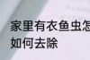 家里有衣鱼虫怎么去除 家里有衣鱼虫如何去除