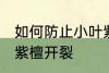 如何防止小叶紫檀开裂 怎样防止小叶紫檀开裂