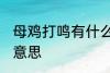 母鸡打鸣有什么坏兆头 母鸡打鸣什么意思