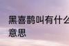 黑喜鹊叫有什么兆头 黑喜鹊叫是什么意思