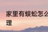 家里有蜈蚣怎么办 家里有蜈蚣怎样处理