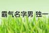 霸气名字男 独一无二的霸气名字男孩