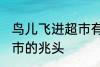 鸟儿飞进超市有什么兆头 鸟儿飞进超市的兆头