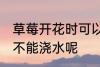 草莓开花时可以浇水吗 草莓开花时能不能浇水呢