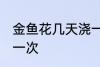 金鱼花几天浇一次水 金鱼花多久浇水一次