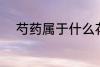 芍药属于什么花卉 芍药所属花卉