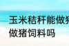 玉米秸秆能做猪饲料吗 玉米秸秆可以做猪饲料吗
