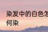 染发中的白色怎么染 染发中的白色如何染