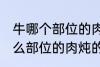 牛哪个部位的肉炖的牛肉汤好喝 牛什么部位的肉炖的牛肉汤好喝
