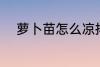 萝卜苗怎么凉拌 萝卜苗如何凉拌