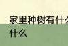家里种树有什么讲究 家宅种树要注意什么
