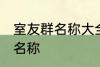 室友群名称大全 幸福又温馨的室友群名称