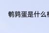 鹌鹑蛋是什么样的 鹌鹑蛋的介绍