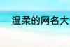 温柔的网名大全 比较温柔的网名