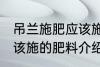 吊兰施肥应该施什么肥料 吊兰施肥应该施的肥料介绍