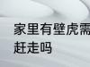 家里有壁虎需要赶走吗 家里有壁虎要赶走吗
