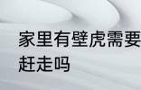 家里有壁虎需要赶走吗 家里有壁虎要赶走吗