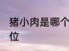 猪小肉是哪个部位 猪小肉是在哪个部位