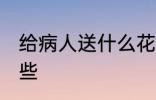 给病人送什么花合适 送病人的花有哪些