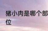 猪小肉是哪个部位 猪小肉是在哪个部位