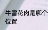 牛雪花肉是哪个部位 牛雪花肉是什么位置
