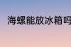 海螺能放冰箱吗 海螺可以放冰箱吗