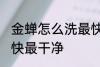 金蝉怎么洗最快最干净 金蝉如何洗最快最干净