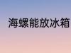 海螺能放冰箱吗 海螺可以放冰箱吗