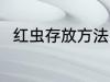 红虫存放方法 红虫怎么保存不会死