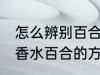 怎么辨别百合和香水百合 辨别百合和香水百合的方法