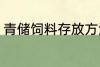 青储饲料存放方法 如何青贮饲料保存