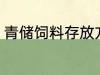 青储饲料存放方法 如何青贮饲料保存