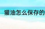 獾油怎么保存的方法 獾油怎么保存