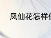 凤仙花怎样保存 凤仙花如何保存