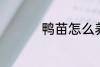 鸭苗怎么养 鸭苗如何养