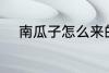 南瓜子怎么来的 南瓜子如何来的