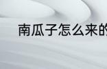 南瓜子怎么来的 南瓜子如何来的