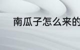 南瓜子怎么来的 南瓜子如何来的