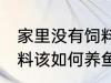 家里没有饲料该怎么养鱼 家里没有饲料该如何养鱼