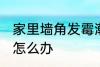 家里墙角发霉潮湿 家里墙角发霉潮湿怎么办